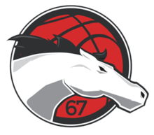 Leicester Riders